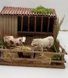 mucche nella stalla in mov